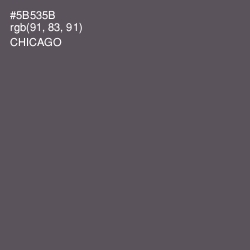 #5B535B - Chicago Color Image