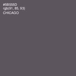 #5B555D - Chicago Color Image