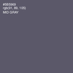 #5B5969 - Mid Gray Color Image