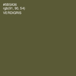 #5B5A36 - Verdigris Color Image