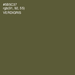 #5B5C37 - Verdigris Color Image