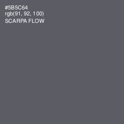 #5B5C64 - Scarpa Flow Color Image