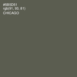 #5B5D51 - Chicago Color Image
