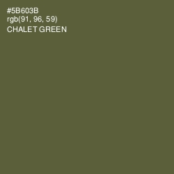 #5B603B - Chalet Green Color Image