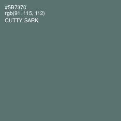 #5B7370 - Cutty Sark Color Image