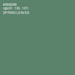#5B826B - Spring Leaves Color Image