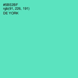 #5BE2BF - De York Color Image