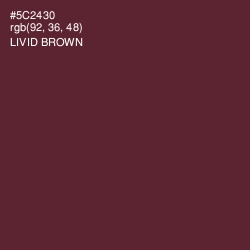 #5C2430 - Livid Brown Color Image