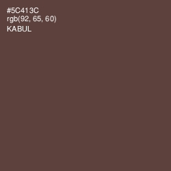 #5C413C - Kabul Color Image
