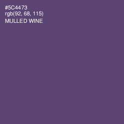 #5C4473 - Mulled Wine Color Image