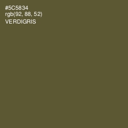 #5C5834 - Verdigris Color Image