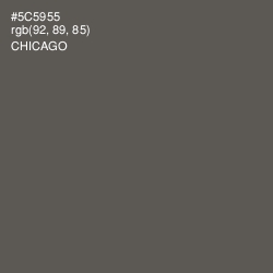 #5C5955 - Chicago Color Image