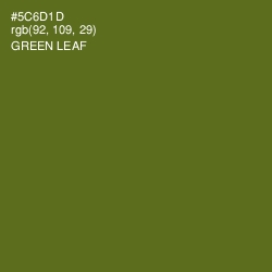 #5C6D1D - Green Leaf Color Image