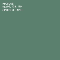 #5C806E - Spring Leaves Color Image