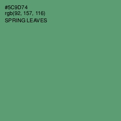 #5C9D74 - Spring Leaves Color Image