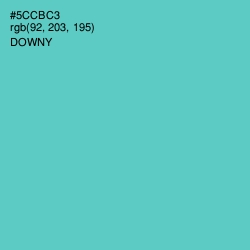 #5CCBC3 - Downy Color Image