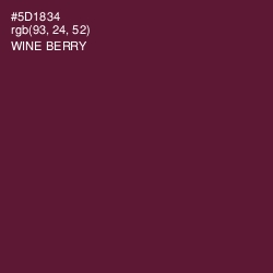 #5D1834 - Wine Berry Color Image