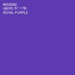 #5D39B2 - Royal Purple Color Image