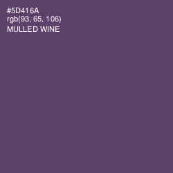 #5D416A - Mulled Wine Color Image