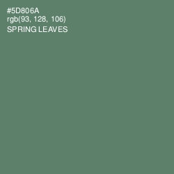 #5D806A - Spring Leaves Color Image