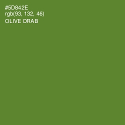#5D842E - Olive Drab Color Image