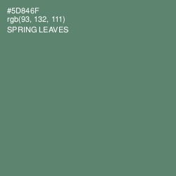 #5D846F - Spring Leaves Color Image