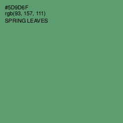 #5D9D6F - Spring Leaves Color Image
