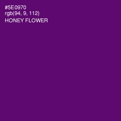 #5E0970 - Honey Flower Color Image