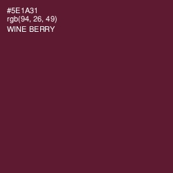 #5E1A31 - Wine Berry Color Image