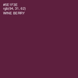 #5E1F3E - Wine Berry Color Image