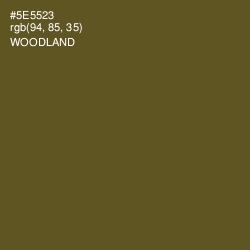 #5E5523 - Woodland Color Image