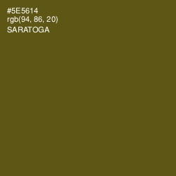 #5E5614 - Saratoga Color Image
