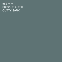 #5E7474 - Cutty Sark Color Image