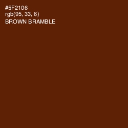 #5F2106 - Brown Bramble Color Image