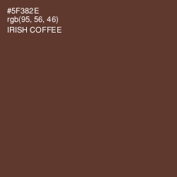 #5F382E - Irish Coffee Color Image
