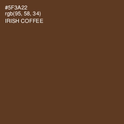 #5F3A22 - Irish Coffee Color Image