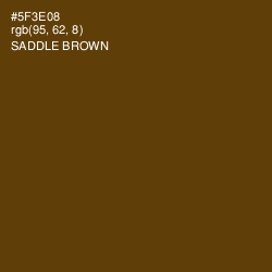 #5F3E08 - Saddle Brown Color Image