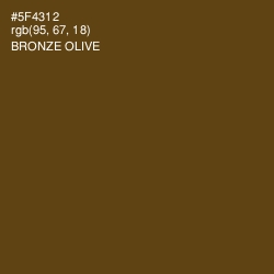 #5F4312 - Bronze Olive Color Image