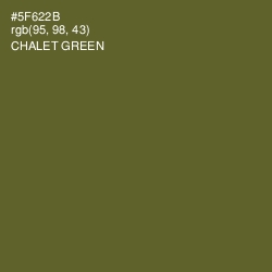 #5F622B - Chalet Green Color Image