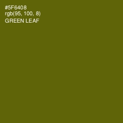 #5F6408 - Green Leaf Color Image