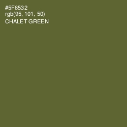 #5F6532 - Chalet Green Color Image