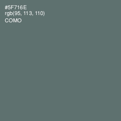 #5F716E - Como Color Image