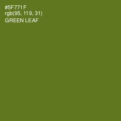 #5F771F - Green Leaf Color Image