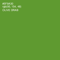 #5F9A30 - Olive Drab Color Image