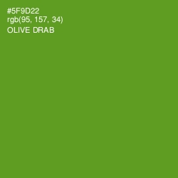 #5F9D22 - Olive Drab Color Image