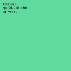 #5FDB9F - De York Color Image