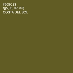 #605C23 - Costa Del Sol Color Image