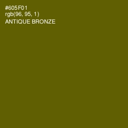 #605F01 - Antique Bronze Color Image
