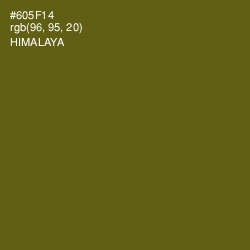 #605F14 - Himalaya Color Image