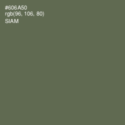 #606A50 - Siam Color Image